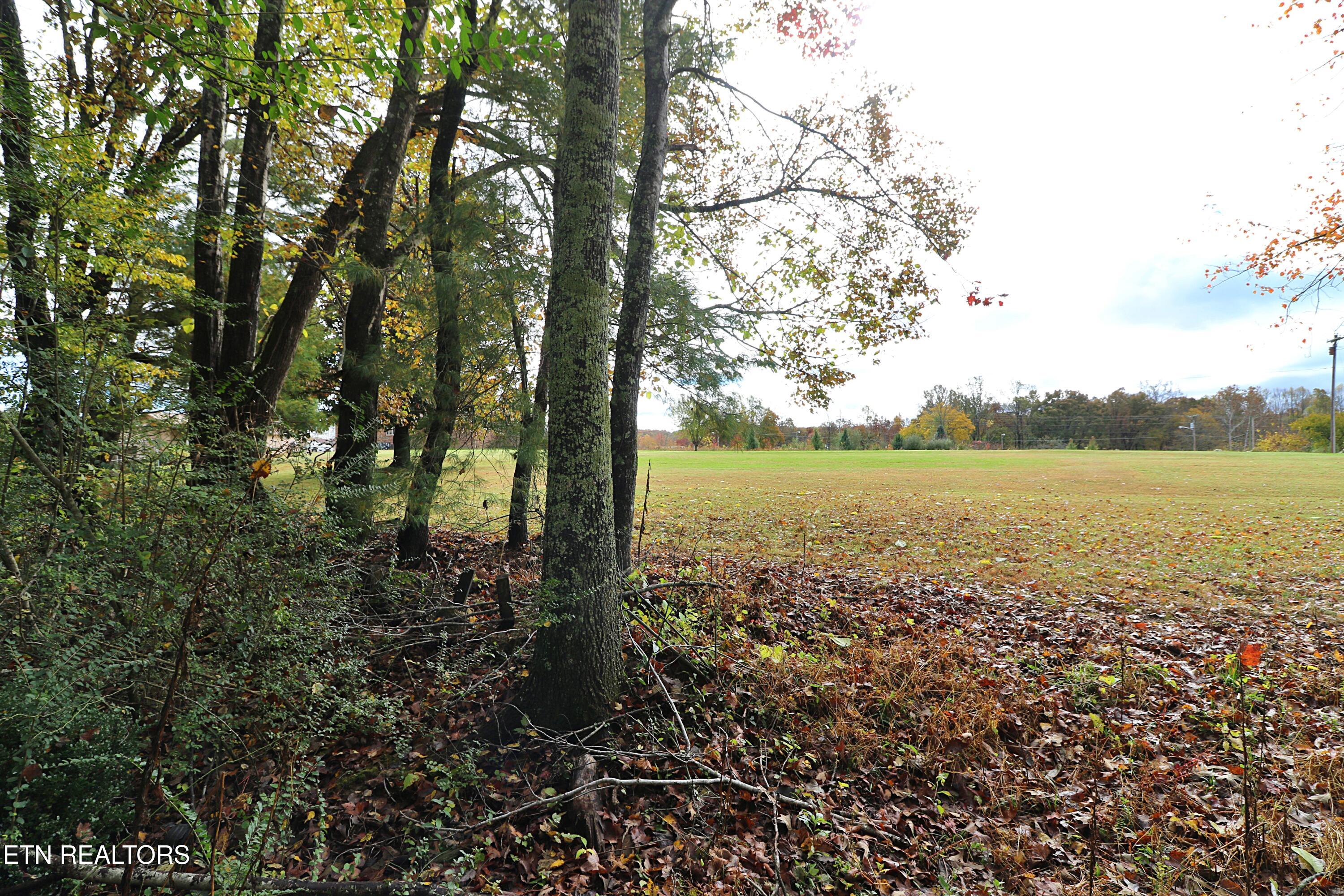 1058 Mountain View Road Robbins, TN 37852 - Photo 45 of 55 094A2509