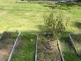 1230 Strawberry Road St. Albans, WV 25177 - Photo 10 of 26 Gallery Image 10