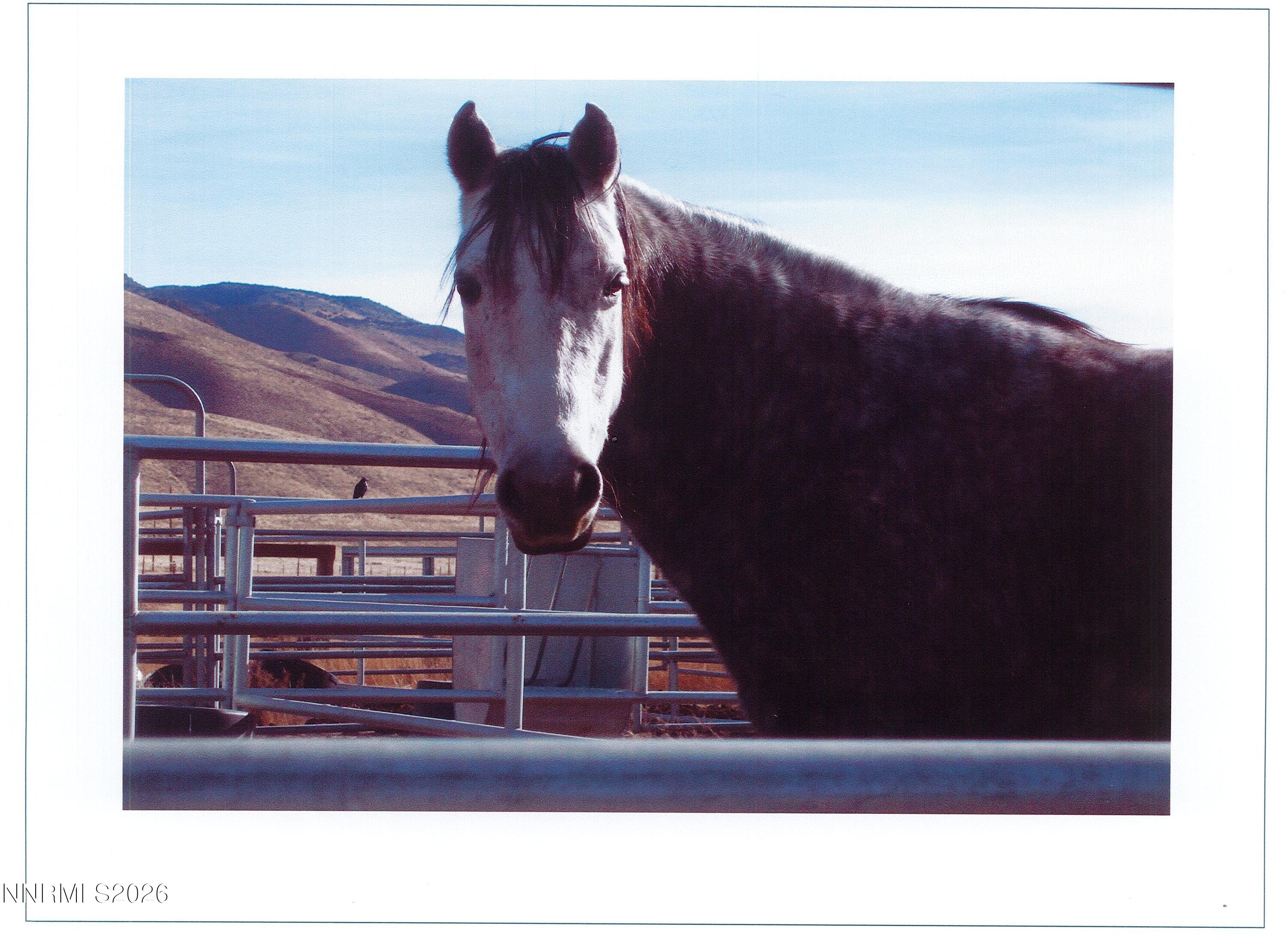 16500 Pyramid Highway Reno, NV 89510 - Photo 58 of 83 Page0002