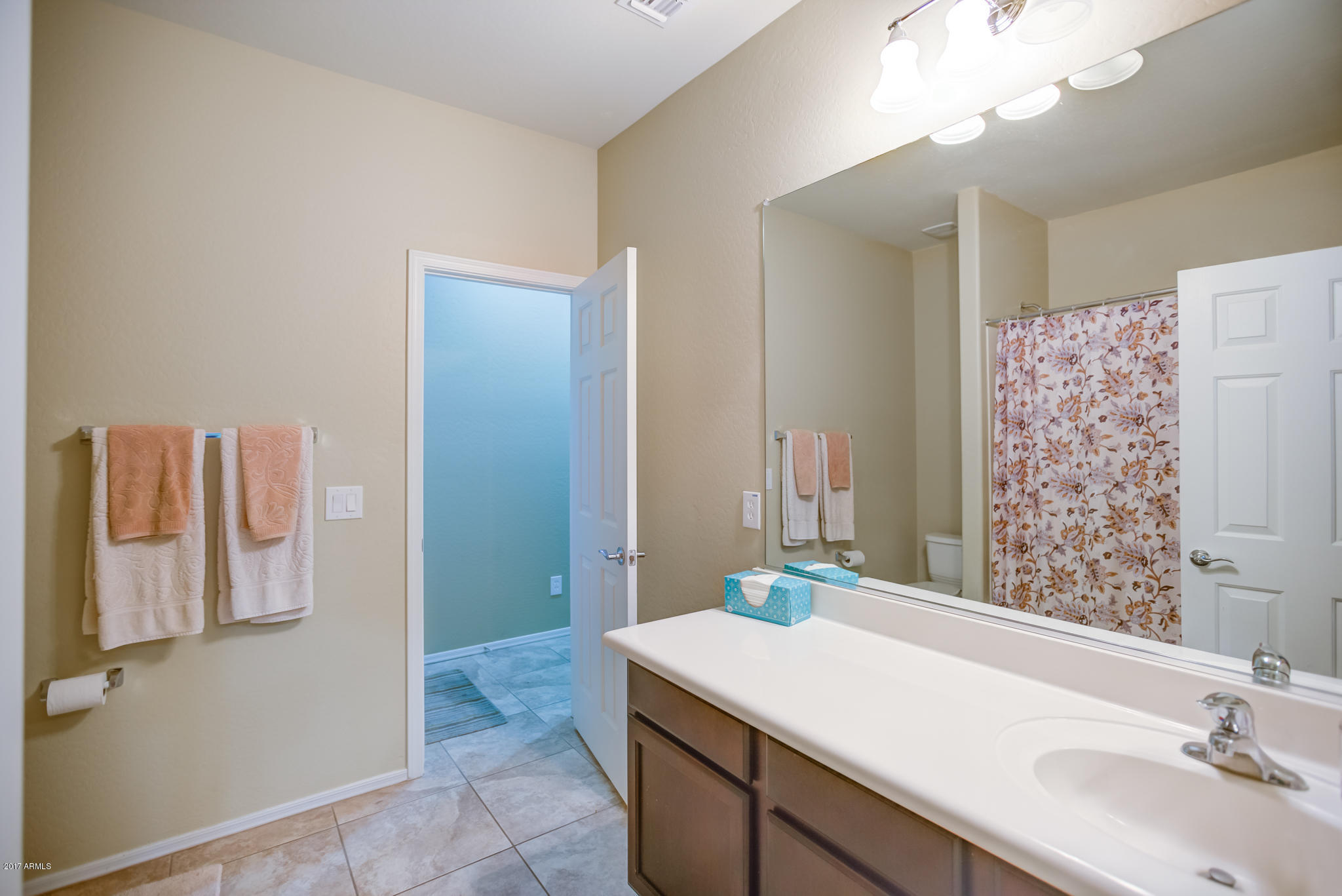 3515 East Ivanhoe Street Gilbert, AZ 85295 - Photo 21 of 49 a bathroom with a sink and a mirror
