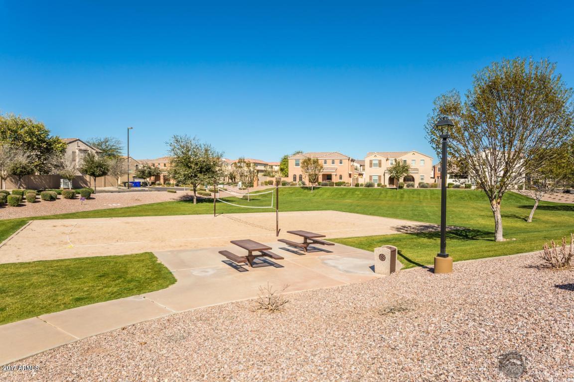 3515 East Ivanhoe Street Gilbert, AZ 85295 - Photo 45 of 49 a view of a park with large trees