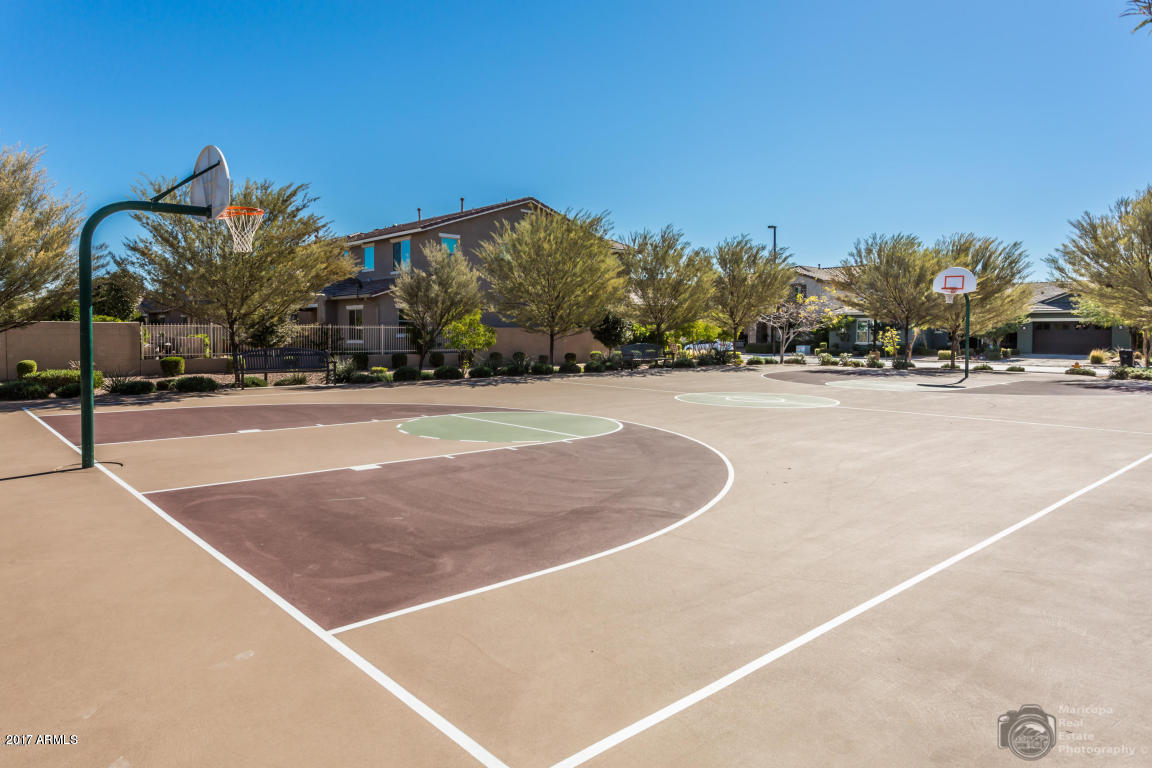 3515 East Ivanhoe Street Gilbert, AZ 85295 - Photo 47 of 49 a view of a basket ball ground