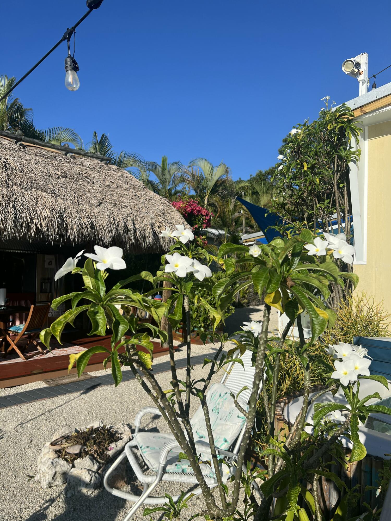 8 Grassy Road Key Largo, FL 33037 - Photo 17 of 94 IMG_3218