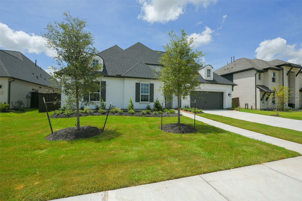 5210 Aster Rdg Lane Manvel, TX 77578 - Photo 3 of 49