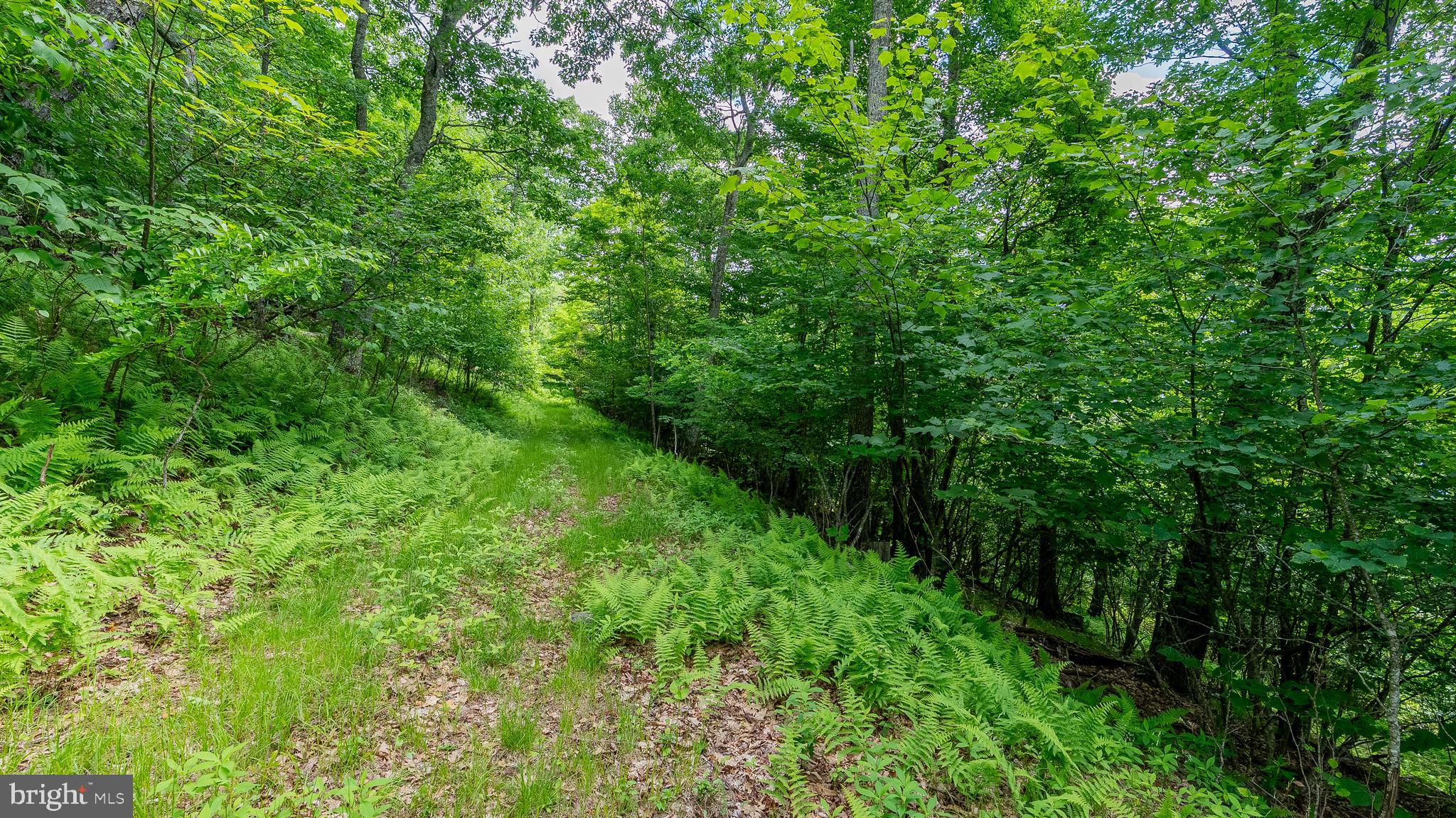 1862 Hawbush Road Circleville, WV 26804 - Photo 30 of 83