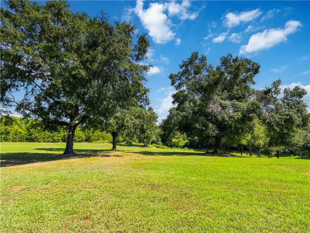 Mature shade trees dot the grassy lawn under blue skies.