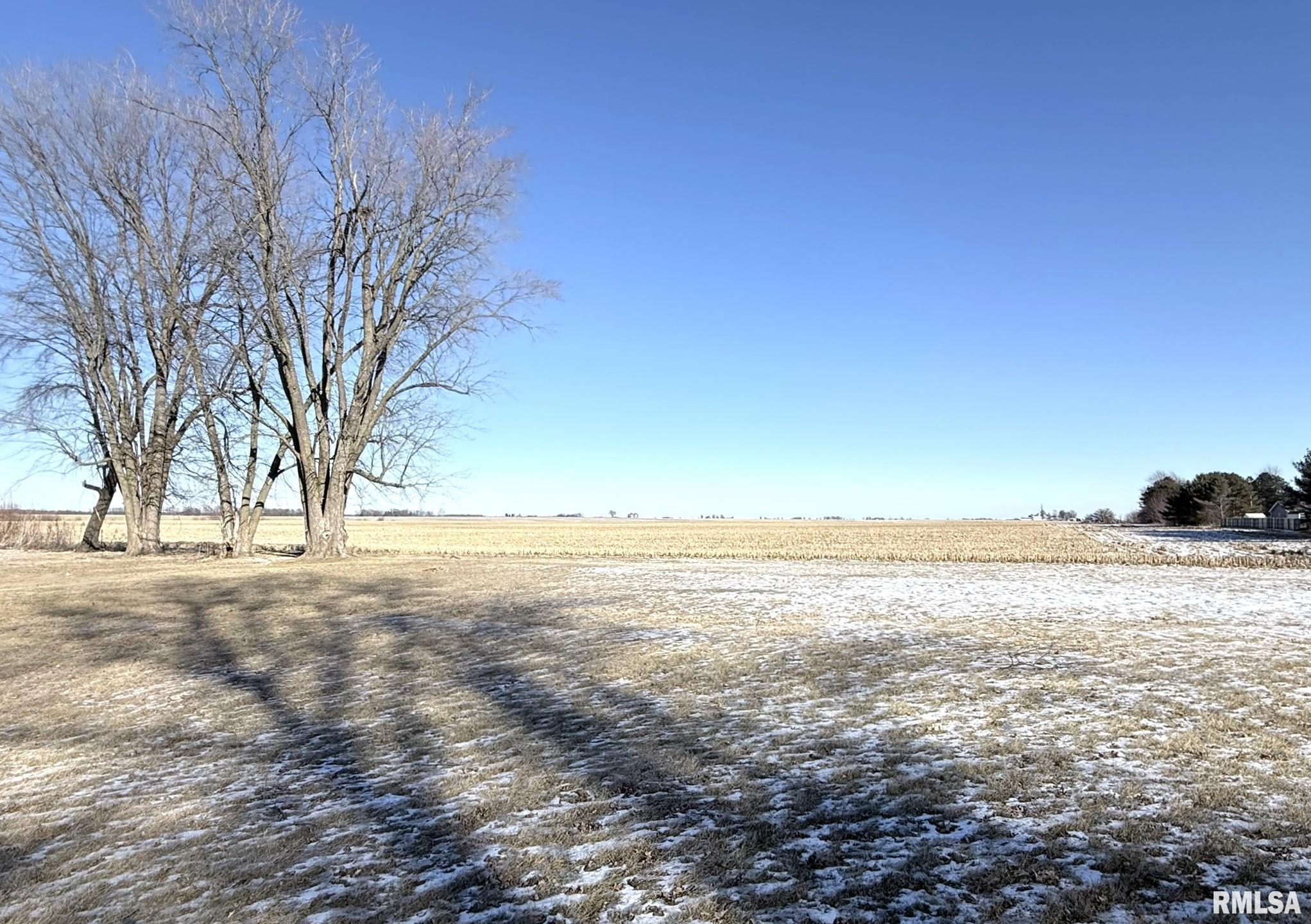 107 Hinchliff Street Rio, IL 61472 - Photo 7 of 66