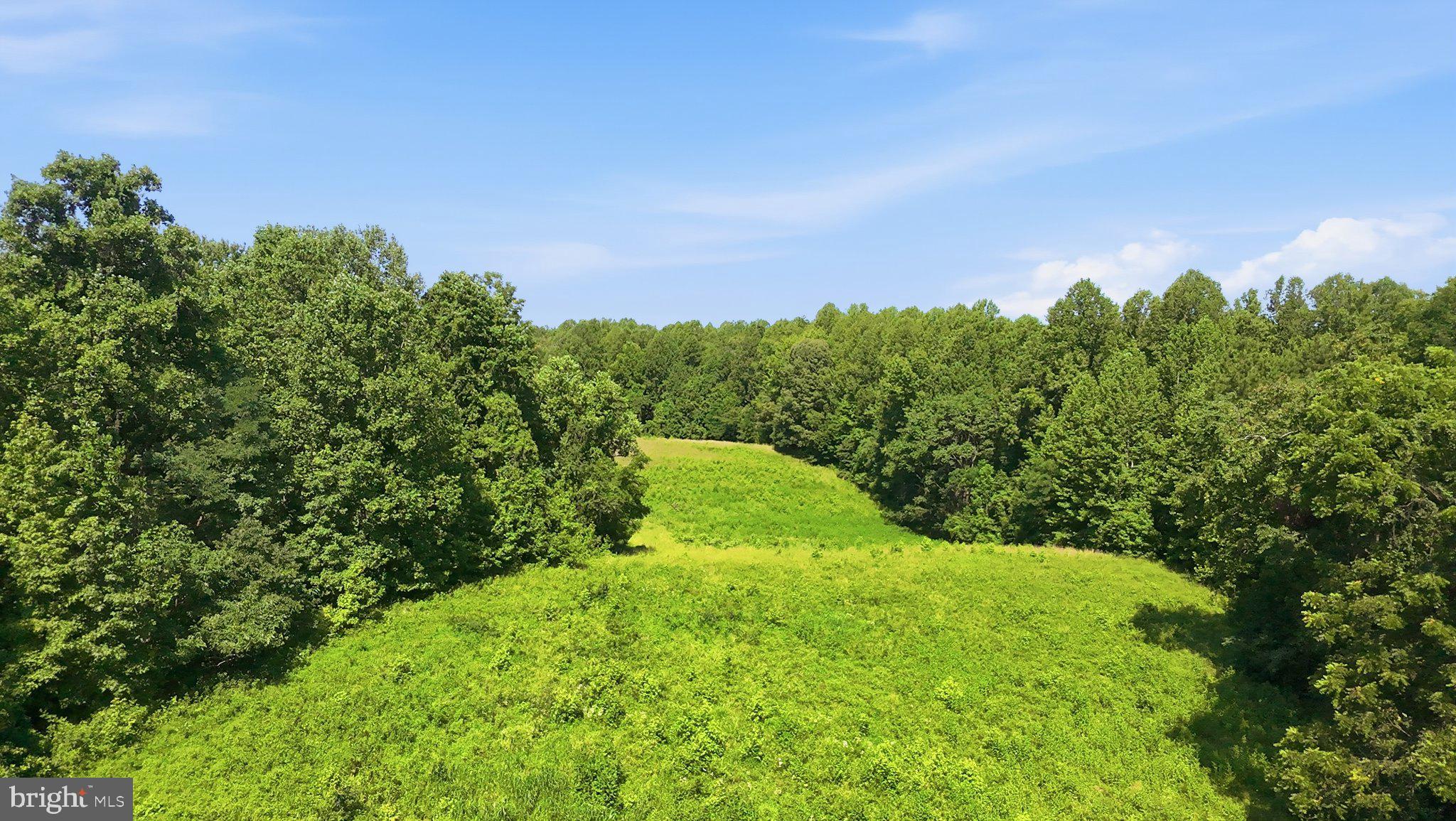 13729 Martin Road Brandywine, MD 20613 - Photo 5 of 21 Lush green expanse meets serene woods.
