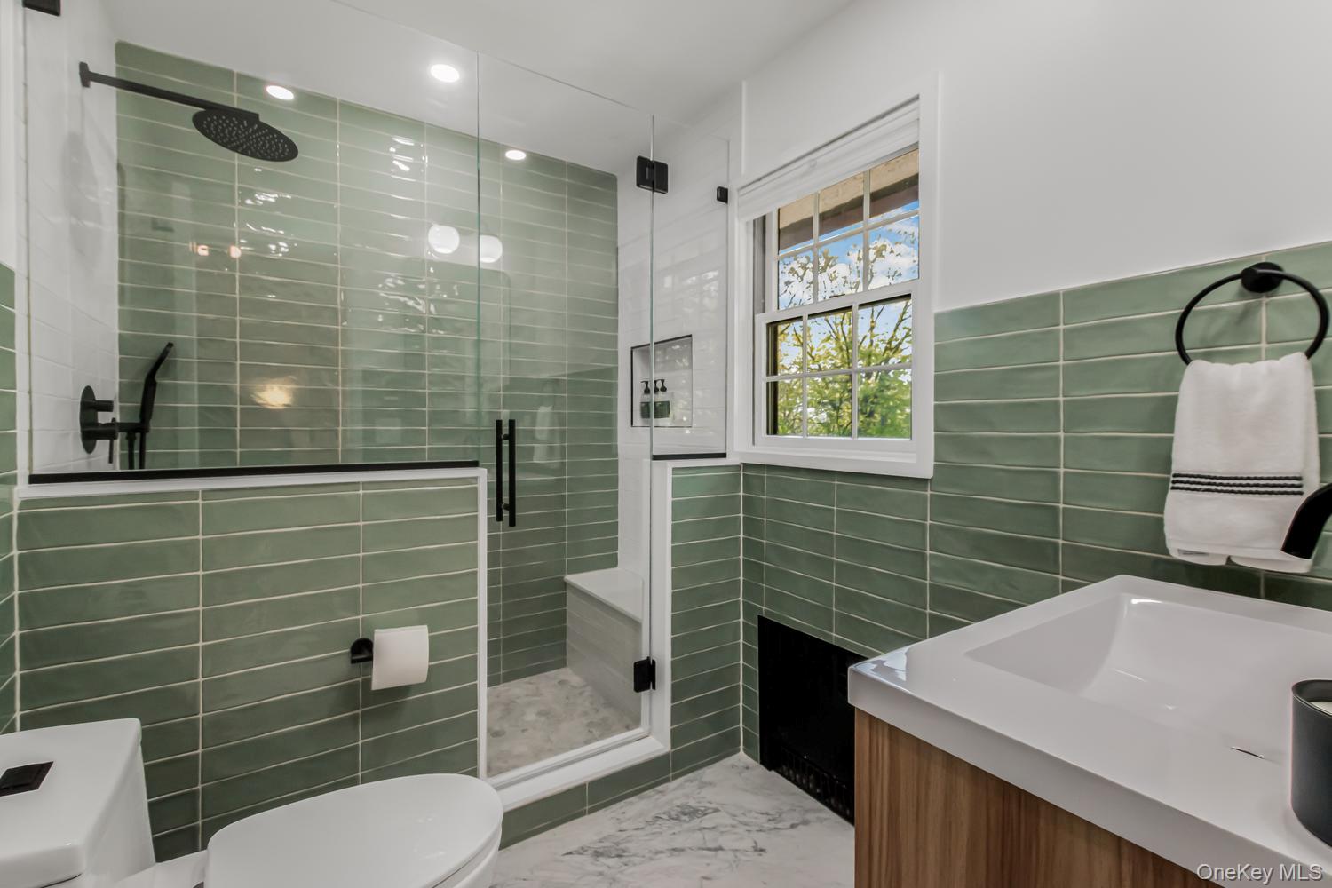 209 Storer Avenue New Rochelle, NY 10801 - Photo 19 of 39 a bathroom with a toilet a sink and shower