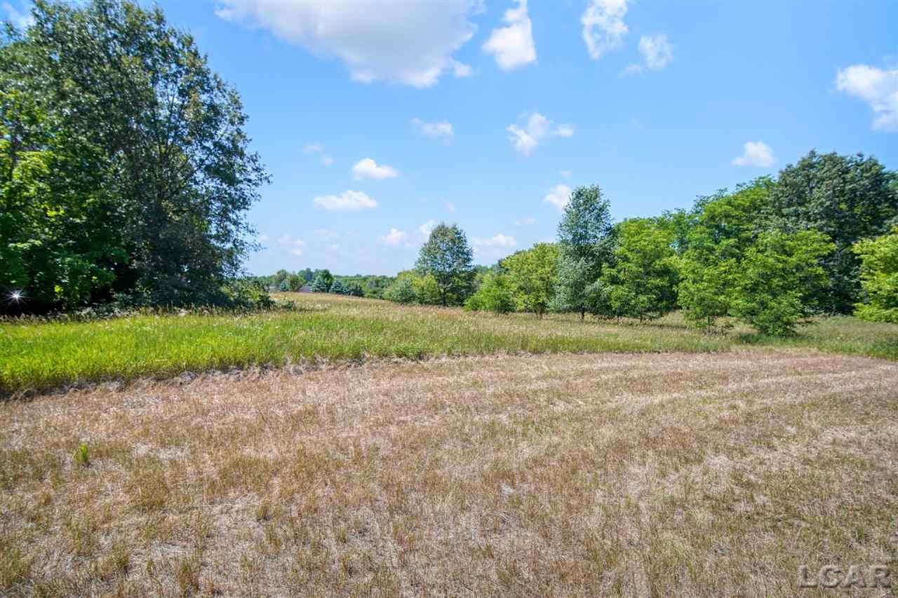 1000 East Valley Road Adrian, MI 49221 - Photo 5 of 18