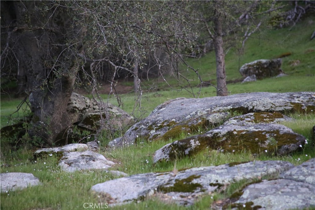 18 Unassigned Usona Road Mariposa, CA 95338 - Photo 11 of 14