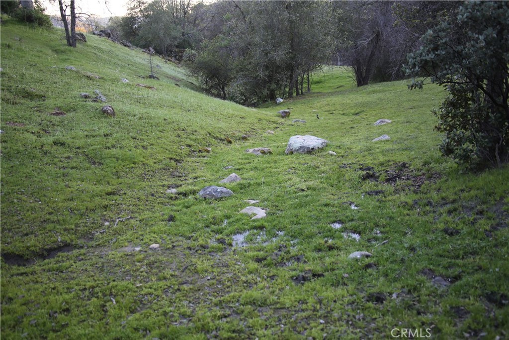 18 Unassigned Usona Road Mariposa, CA 95338 - Photo 12 of 14 spring #1