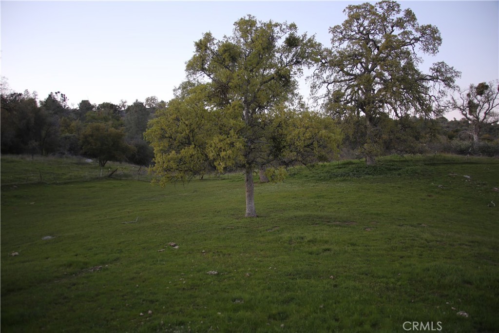 18 Unassigned Usona Road Mariposa, CA 95338 - Photo 2 of 14