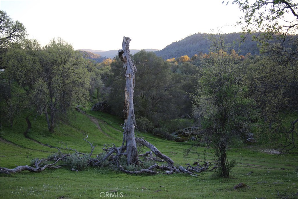 18 Unassigned Usona Road Mariposa, CA 95338 - Photo 3 of 14