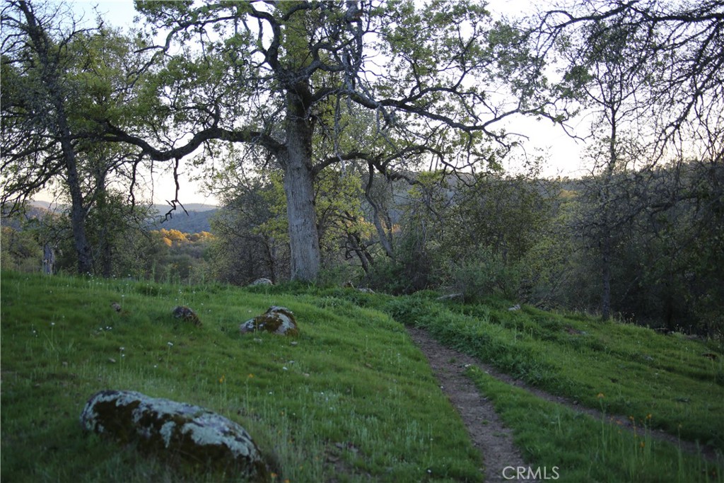 18 Unassigned Usona Road Mariposa, CA 95338 - Photo 6 of 14