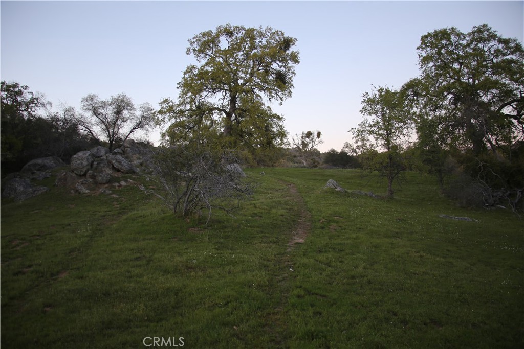 18 Unassigned Usona Road Mariposa, CA 95338 - Photo 8 of 14