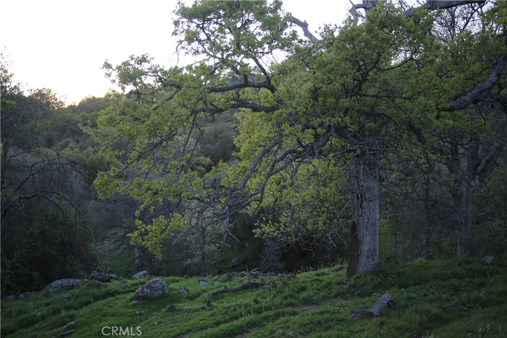 18 Unassigned Usona Road Mariposa, CA 95338 - Photo 9 of 14