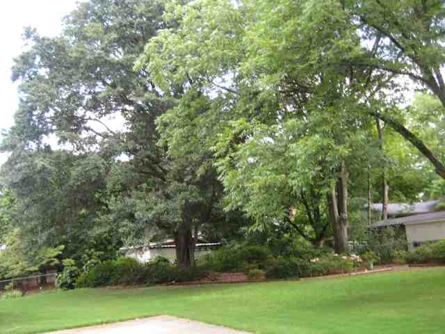 119 Buckingham Road Greenville, SC 29607 - Photo 16 of 17
