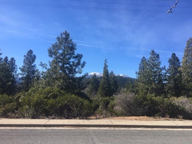Lot 55 Grant Road Mount Shasta, CA 96067 - Photo 10 of 12 Gallery Image 10
