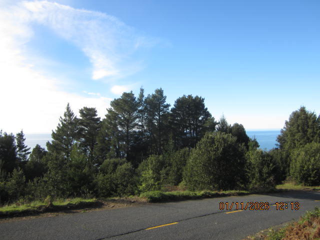 2715 Toth Road Shelter Cove, CA 95589 - Photo 13 of 27 IMG_0763