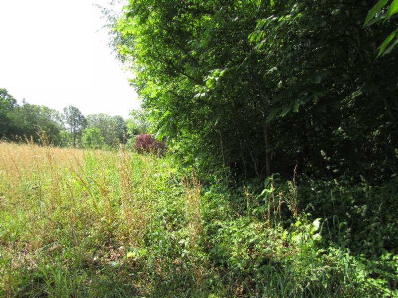3 Jefferson Road Smithville, TN 37166 - Photo 13 of 21 Gallery Image 13