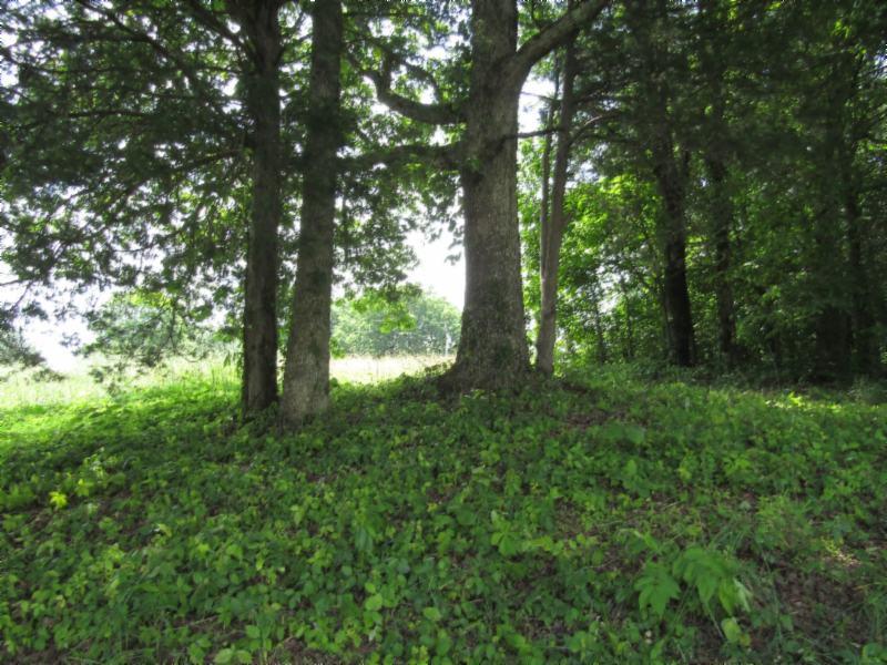 3 Jefferson Road Smithville, TN 37166 - Photo 15 of 21 Gallery Image 15