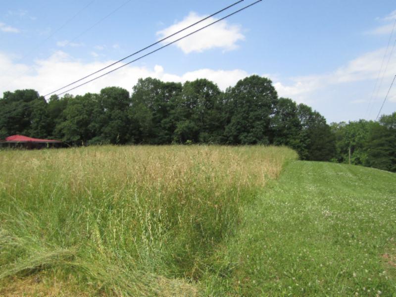 3 Jefferson Road Smithville, TN 37166 - Photo 8 of 21 Gallery Image 8