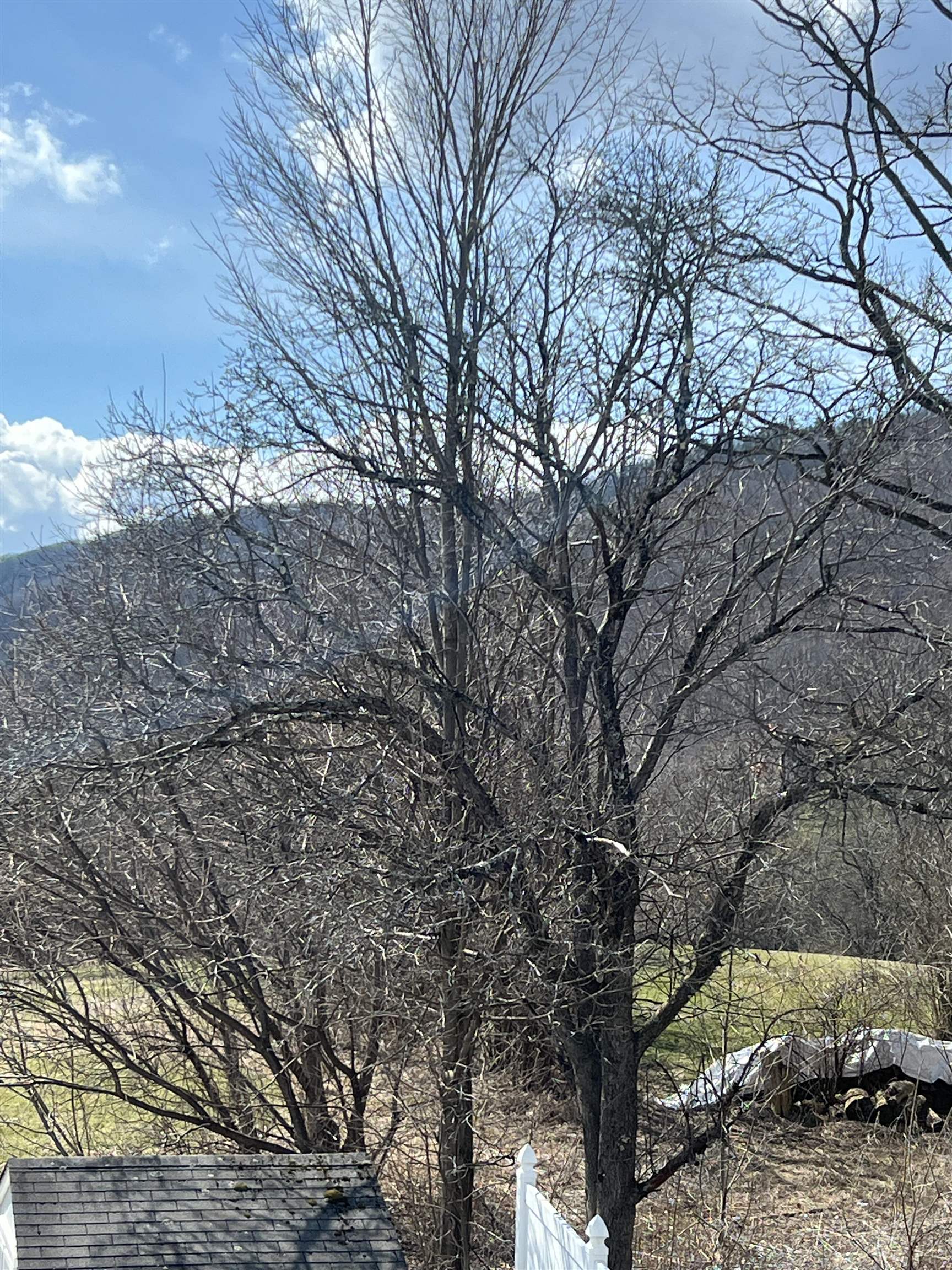 9 Cain Street Proctor, VT 05765 - Photo 28 of 31