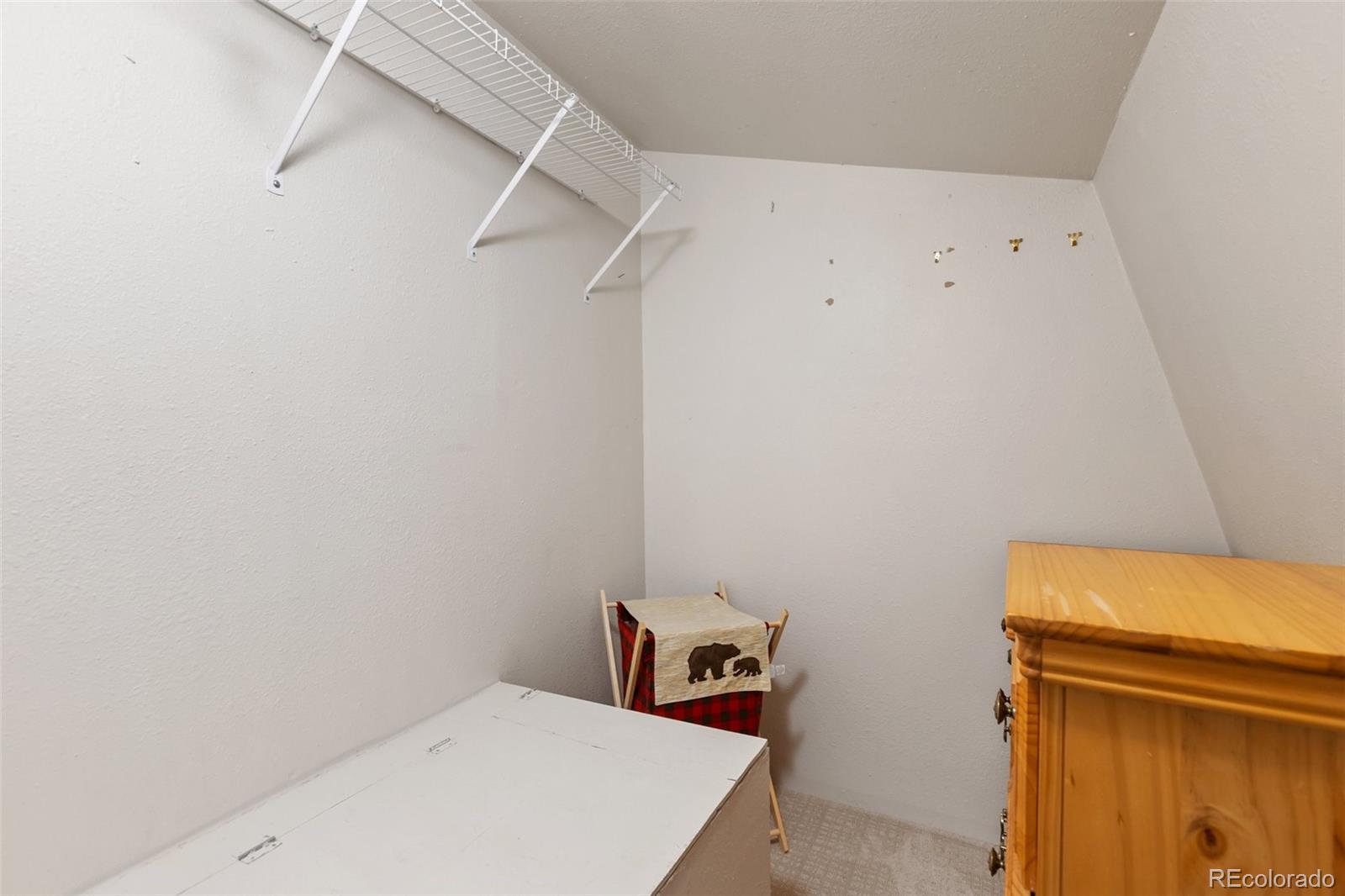 2387 Buffalo Ridge Road Como, CO 80456 - Photo 19 of 50 a view of storage and utility room with racks on the wall