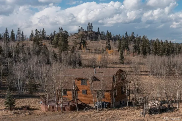 a view of a lake in middle of the forest