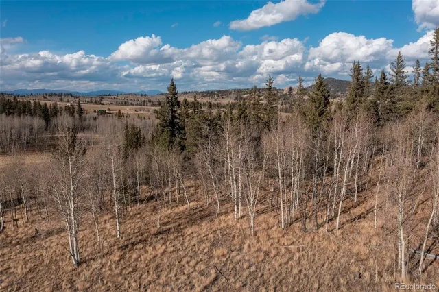 a view of a town with lots of trees