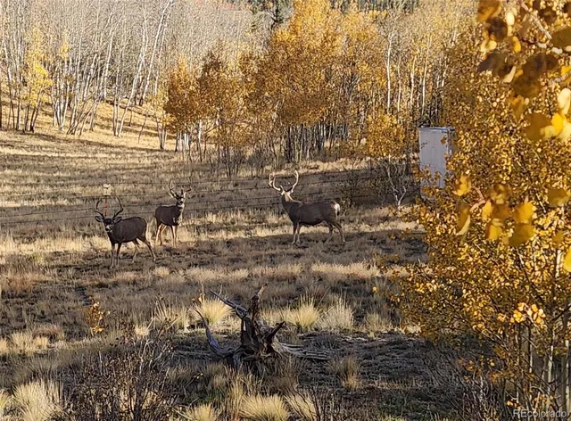 a view of a workspace