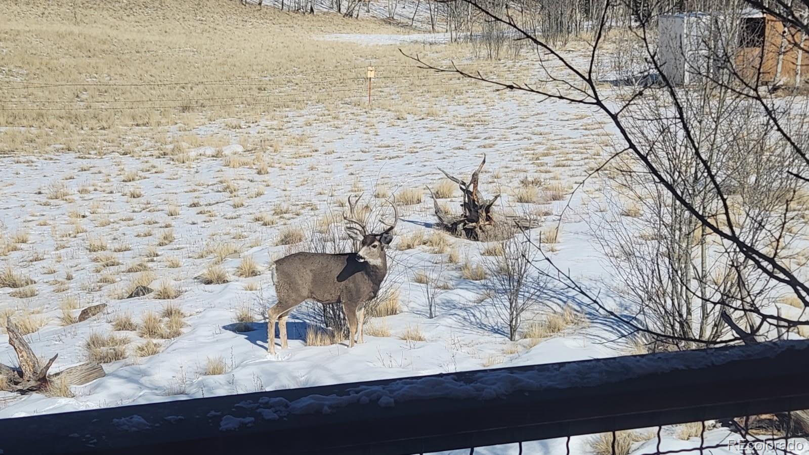 2387 Buffalo Ridge Road Como, CO 80456 - Photo 40 of 50 a view of a workspace