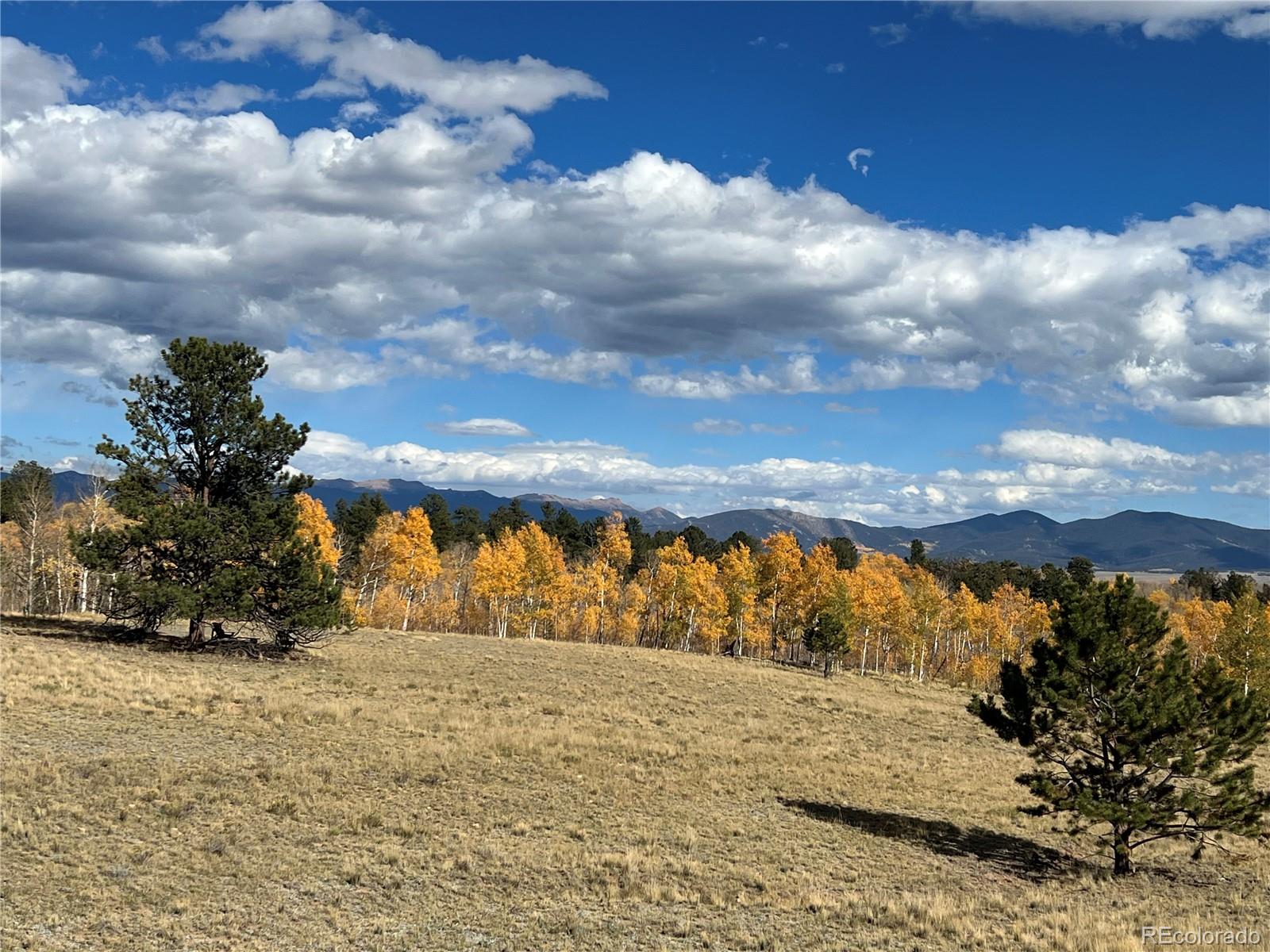 2387 Buffalo Ridge Road Como, CO 80456 - Photo 43 of 50