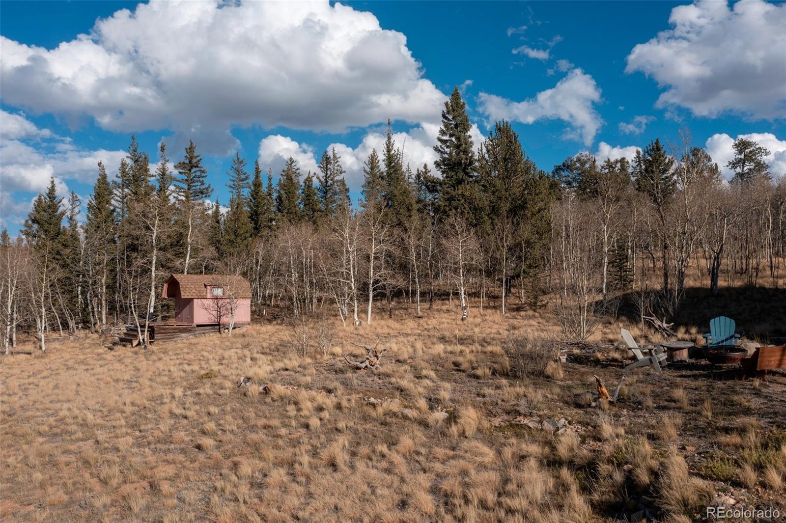 2387 Buffalo Ridge Road Como, CO 80456 - Photo 49 of 50 a view of a park with large trees