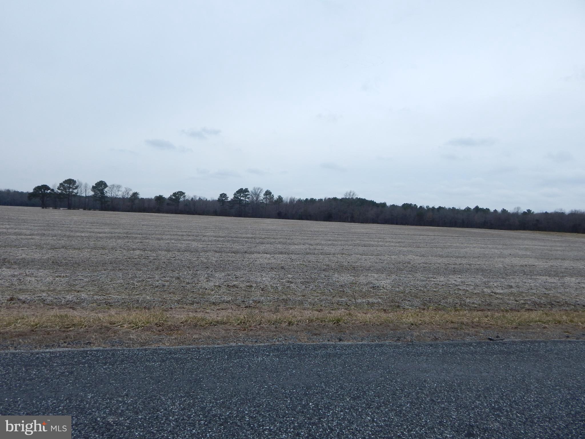 Wilson Hill Road Georgetown, DE 19947 - Photo 1 of 1 Gallery Image 1