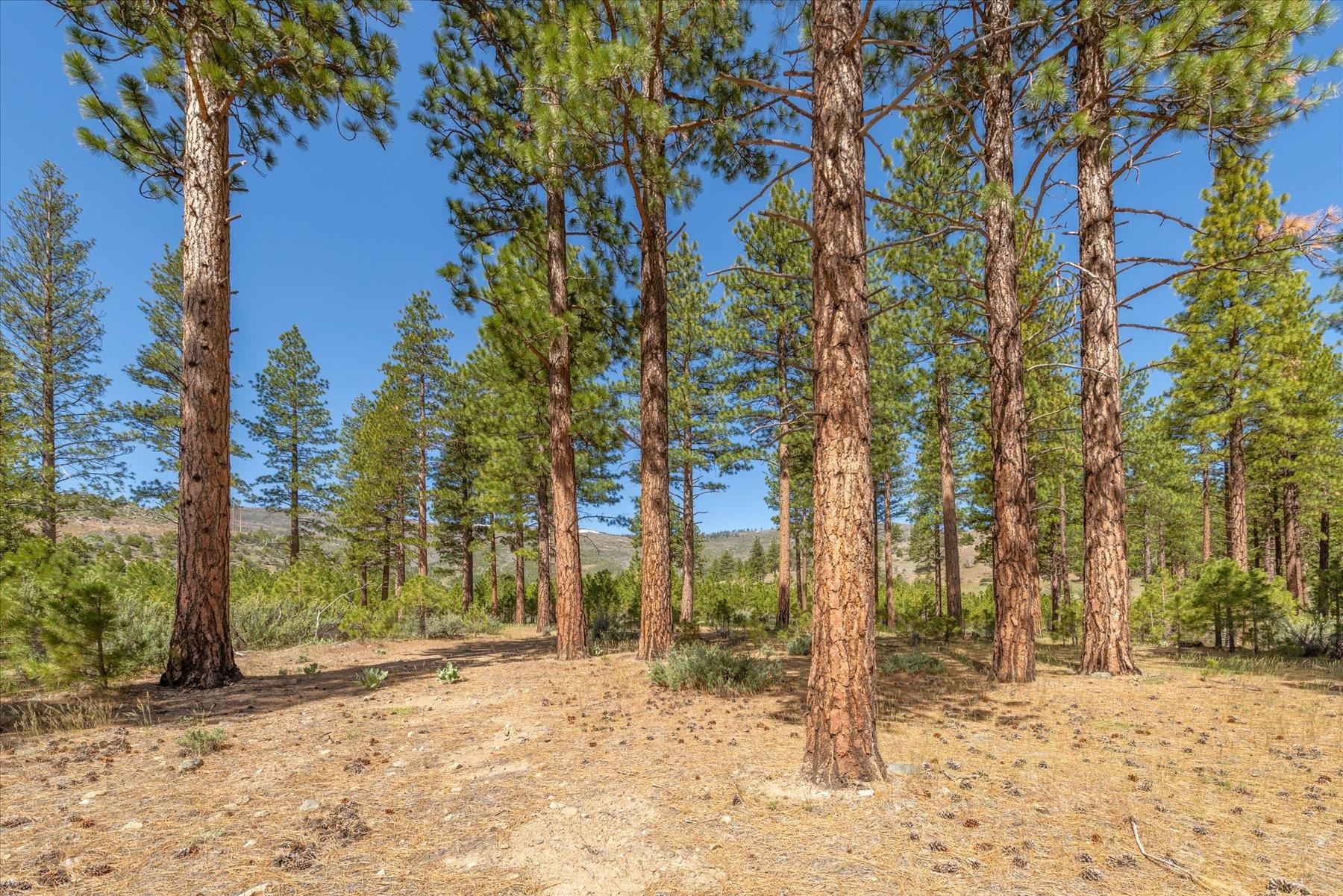 Feenune Road Loyalton, CA 96118 - Photo 24 of 28
