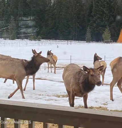 $975,000 | 828 West Fork Eagle Creek Road, Wallace, ID 83873