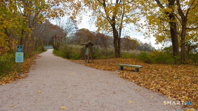 137 Liberty Street Madison, CT 06443 - Photo 34 of 40 a view of a road with a yard