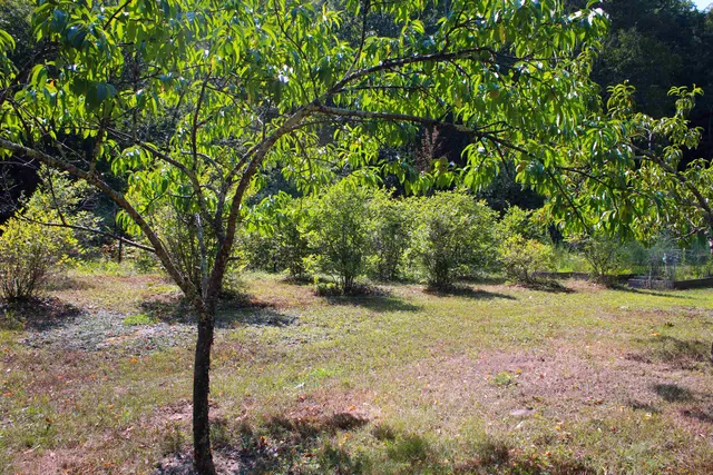 $595,000 | 339 Burt Hill Road, Winchester, NH 03470