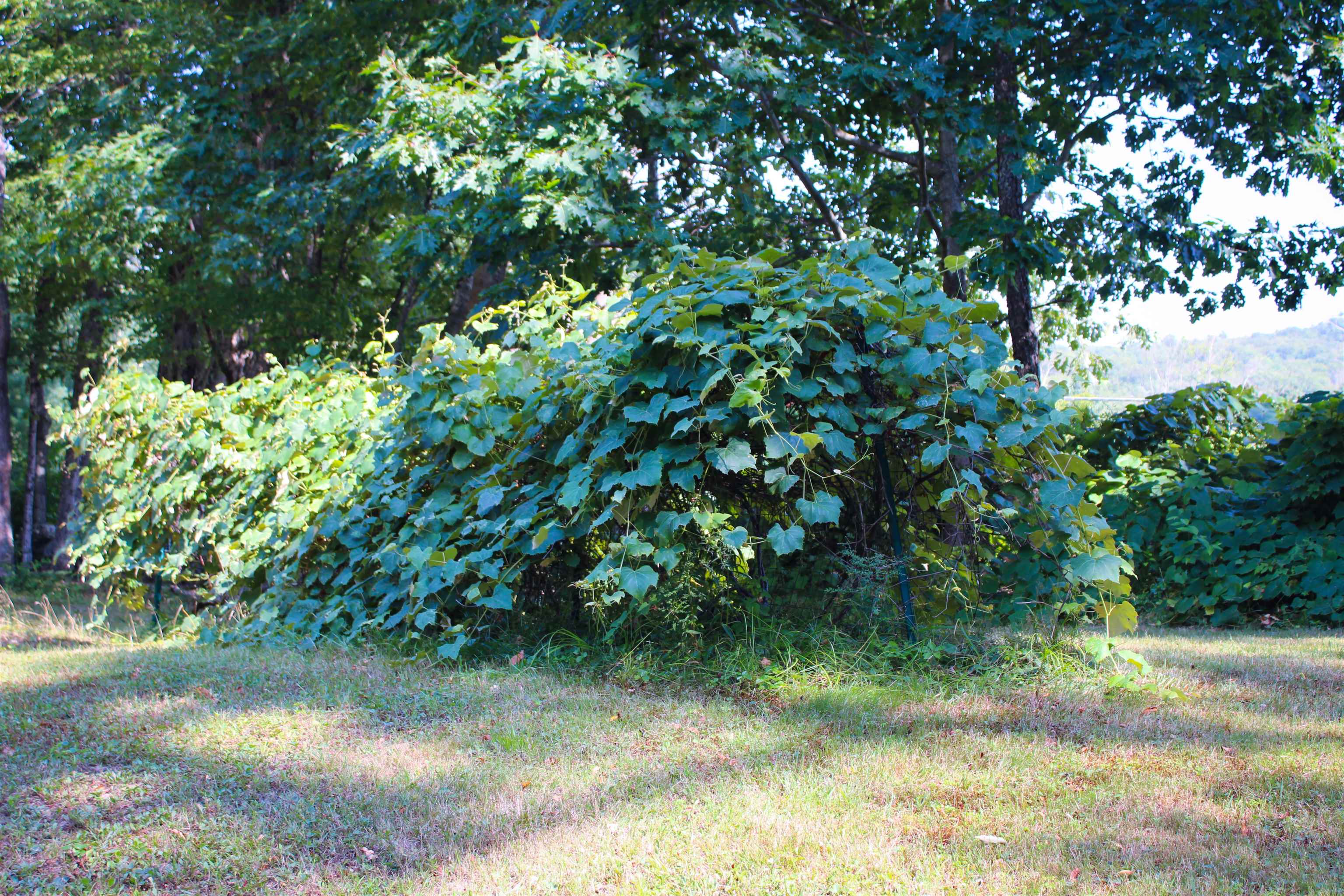 339 Burt Hill Road Winchester, NH 03470 - Photo 43 of 45 Gallery Image 43