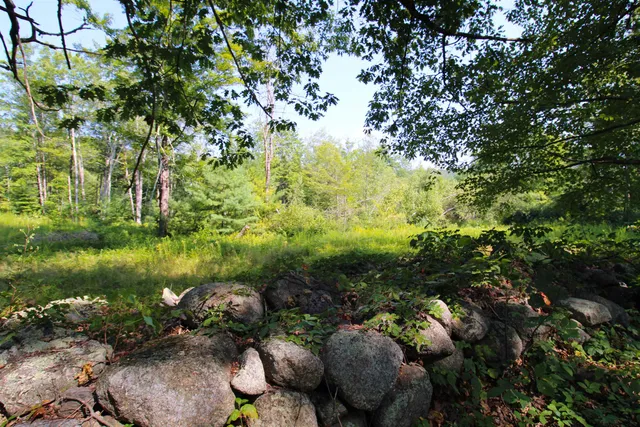 $595,000 | 339 Burt Hill Road, Winchester, NH 03470