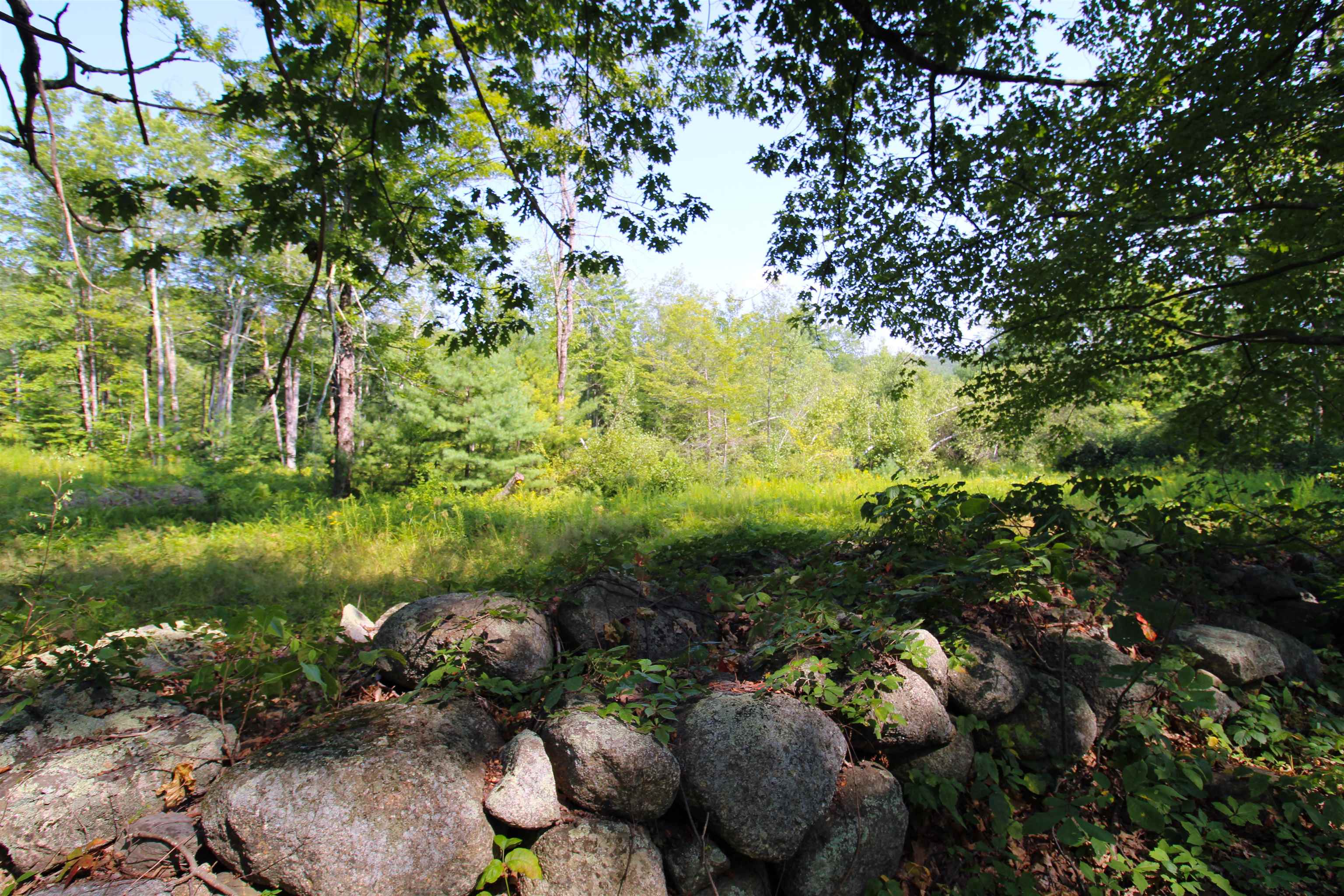 339 Burt Hill Road Winchester, NH 03470 - Photo 44 of 45 Gallery Image 44
