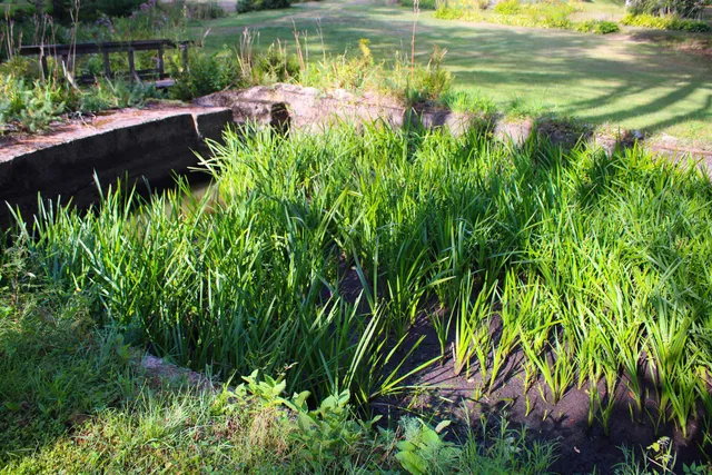 $595,000 | 339 Burt Hill Road, Winchester, NH 03470