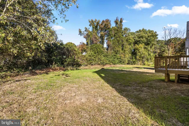 a view of backyard with green space