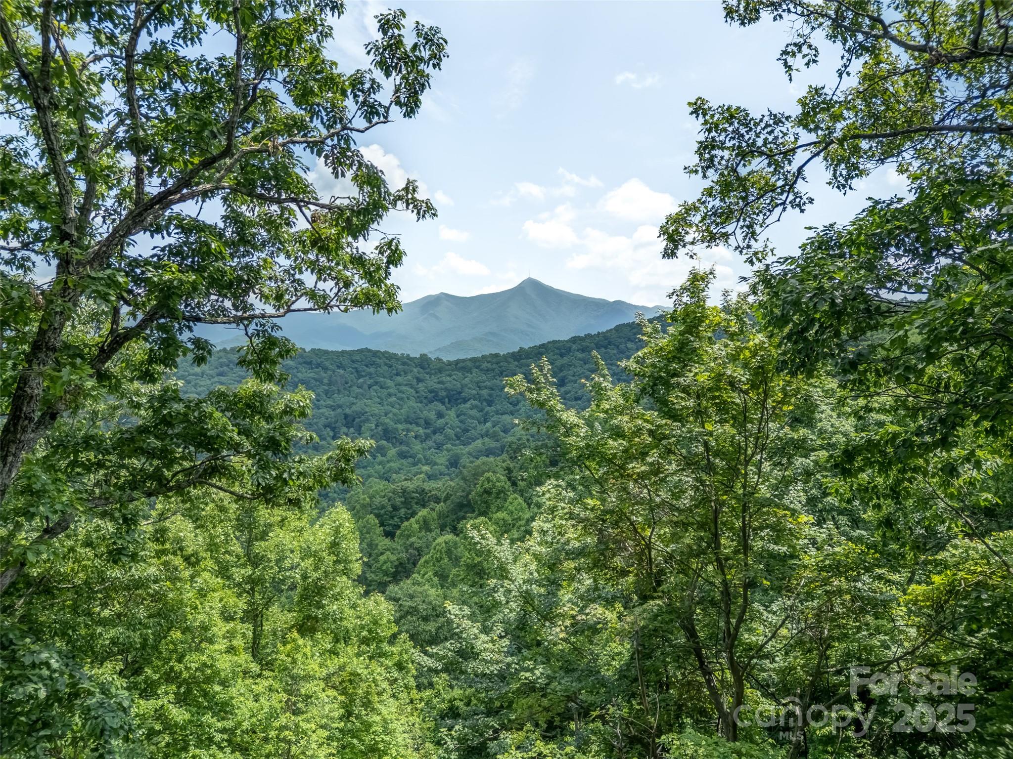 100 White Rock Br Road Candler, NC 28715 - Photo 11 of 32 an aerial view of mountain with trees