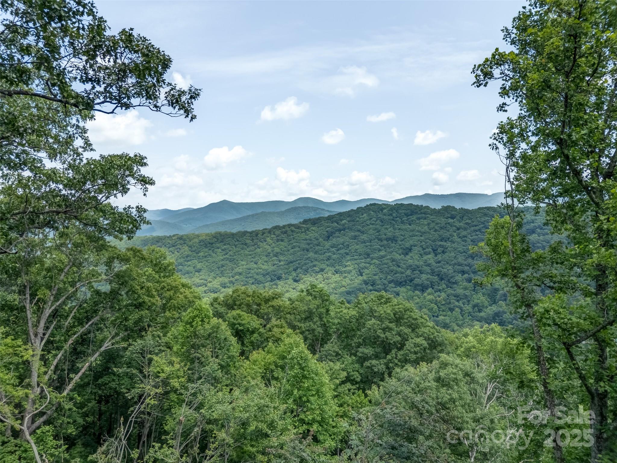 100 White Rock Br Road Candler, NC 28715 - Photo 13 of 32 a view of a bunch of trees
