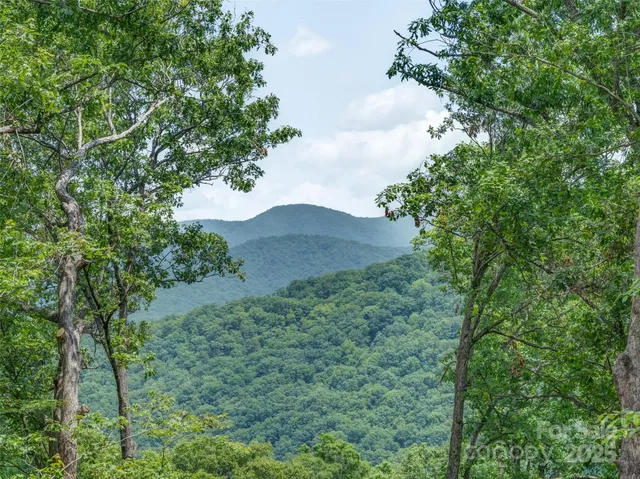 a view of a tree in a field with a tree