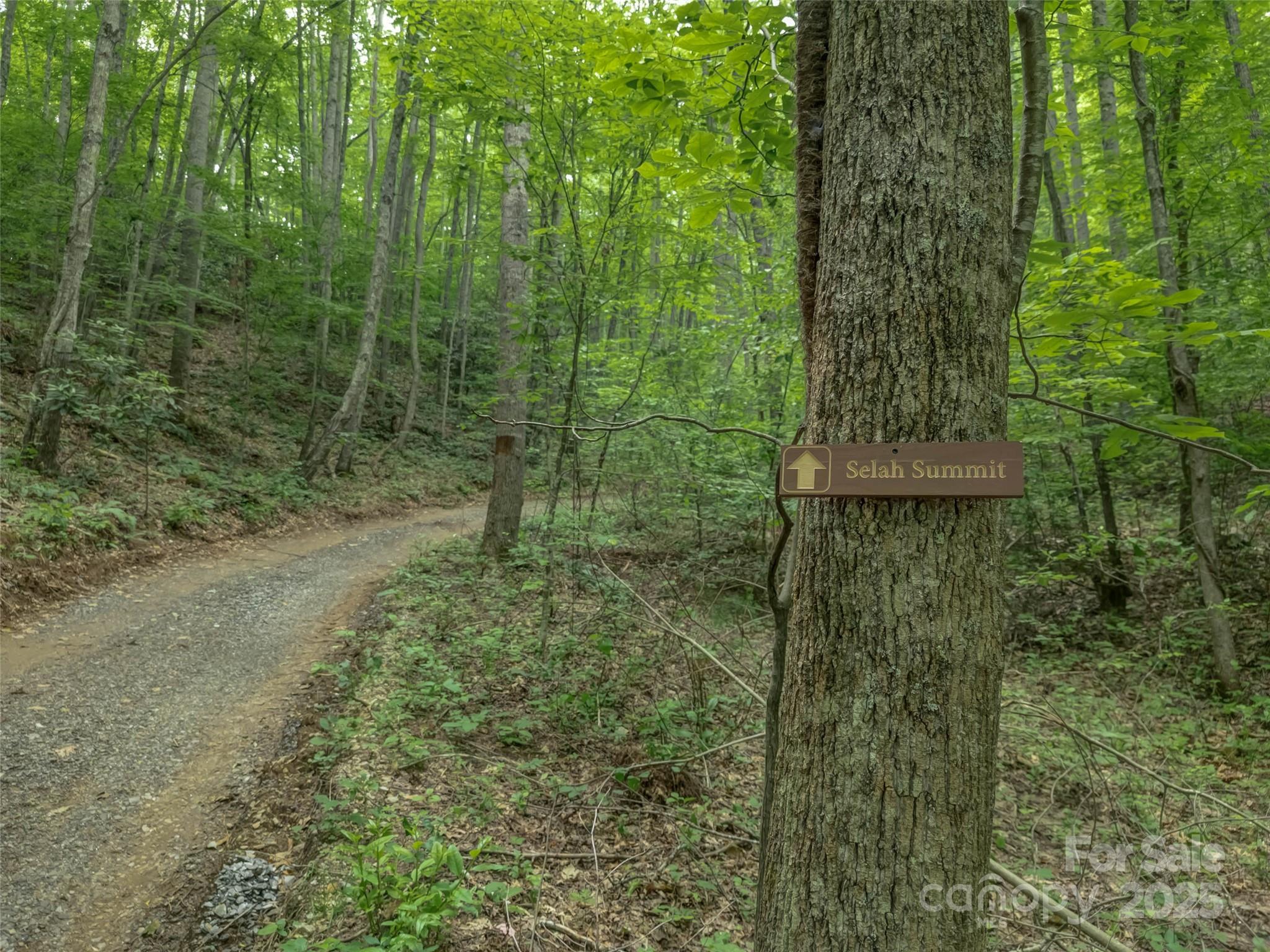 100 White Rock Br Road Candler, NC 28715 - Photo 17 of 32 a view of a forest