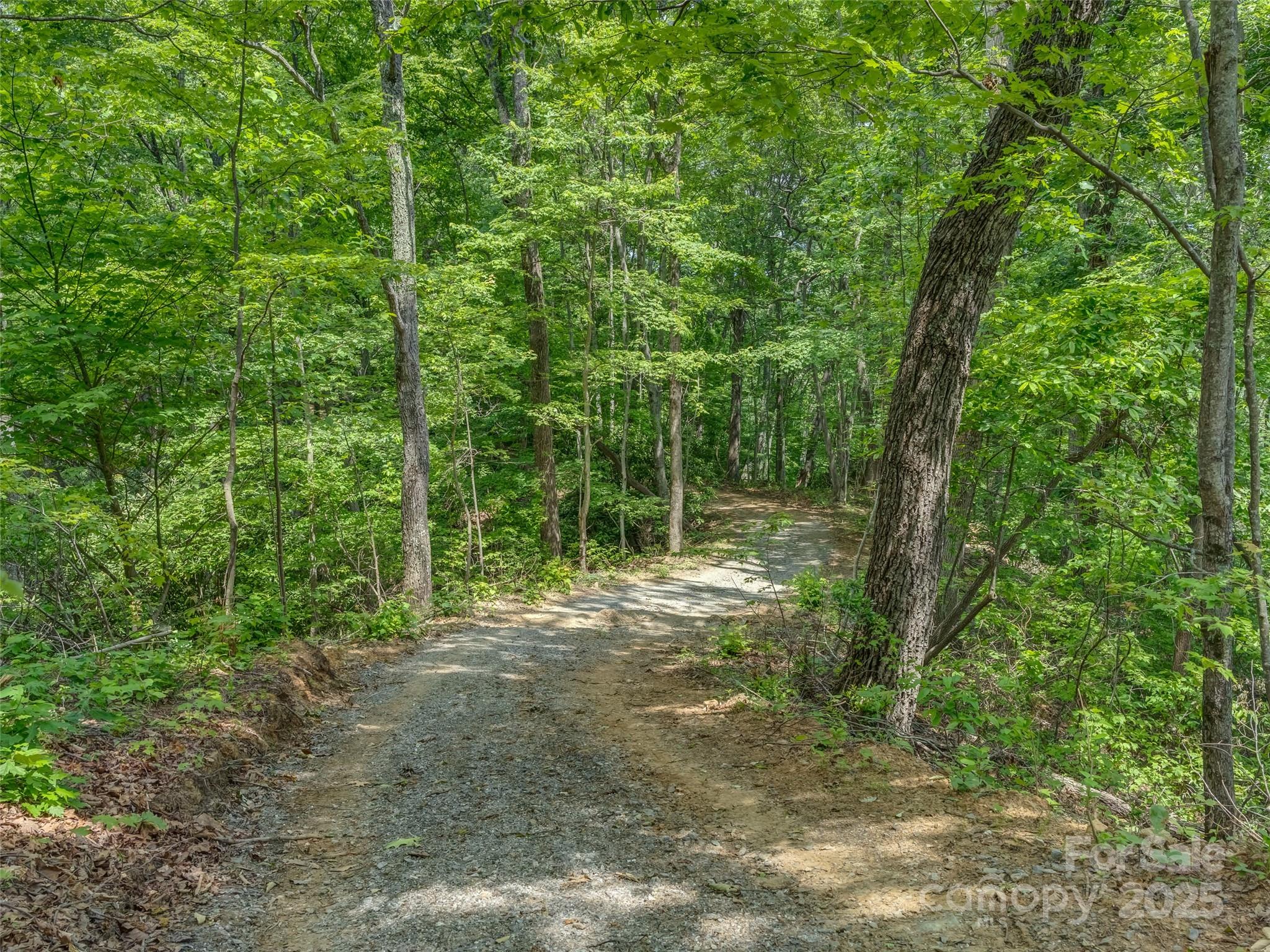 100 White Rock Br Road Candler, NC 28715 - Photo 19 of 32 a view of outdoor space and trees